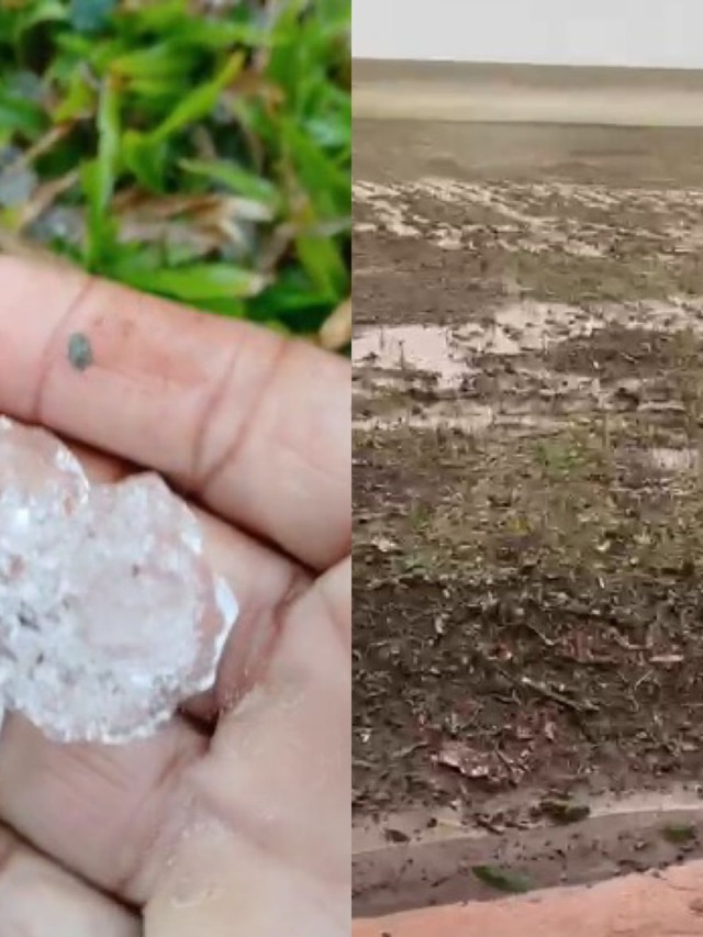 Montagem Canal Rural/Créditos: Aprosoja PR 