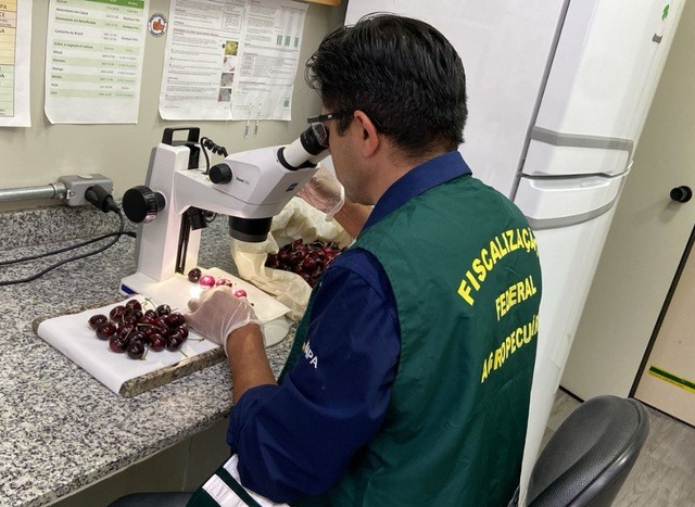 Foto: Mapa/ Allan Zubiate