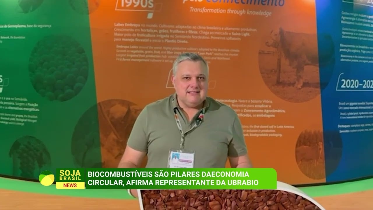 COP30: transição energética na cadeia de soja é apontada como estratégia para sustentabilidade