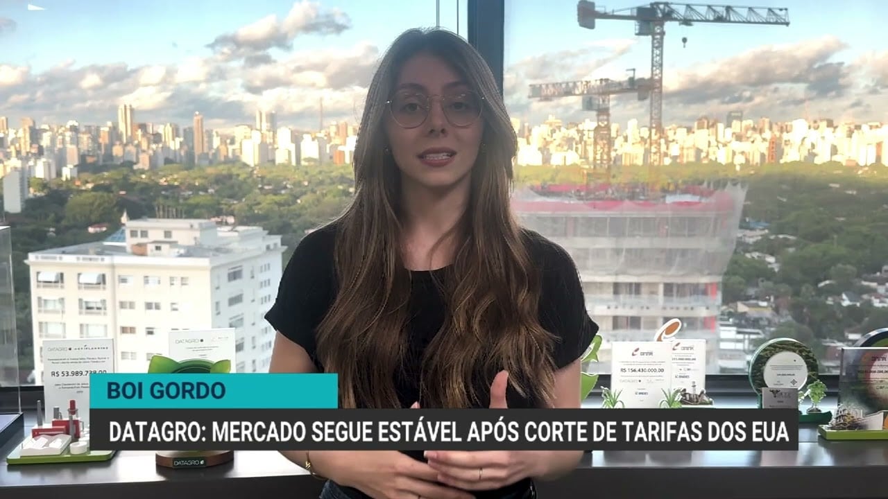 Com oferta em ajuste, arroba do boi se mantém firme e exportações aceleram