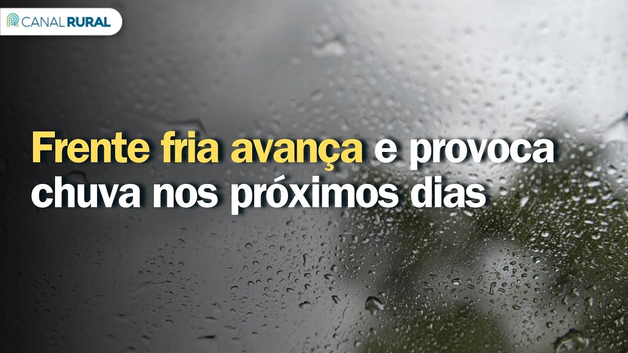 Ciclone deve provocar chuva forte e ventos de 100 km/h nos próximos dias, alerta meteorologista