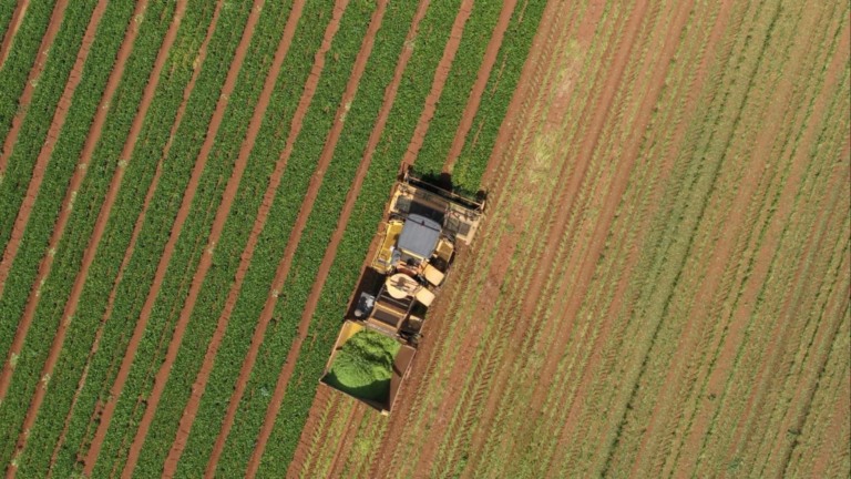 Foto: Reprodução/Giro do Boi.