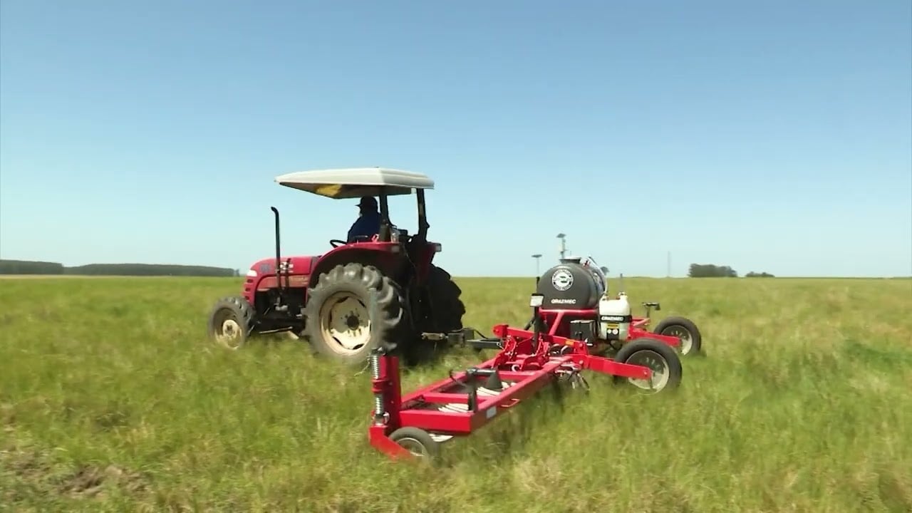 Choveu e as plantas daninhas voltaram: o que fazer para impedir prejuízos na fazenda?