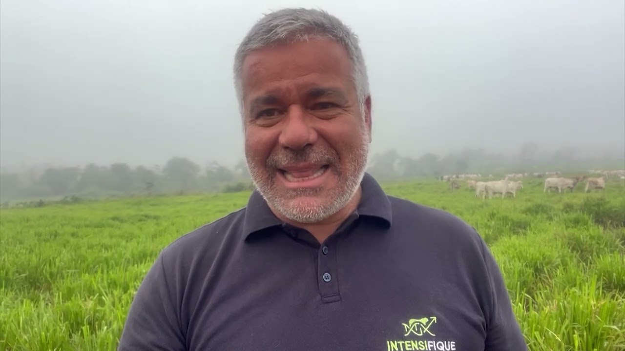 Casquinha ou farelo de soja? Confira o uso correto de cada subproduto no rebanho