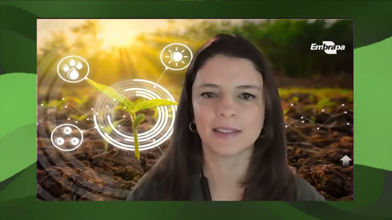 Embrapa sequencia genomas de capim-elefante em colaboração internacional; saiba mais