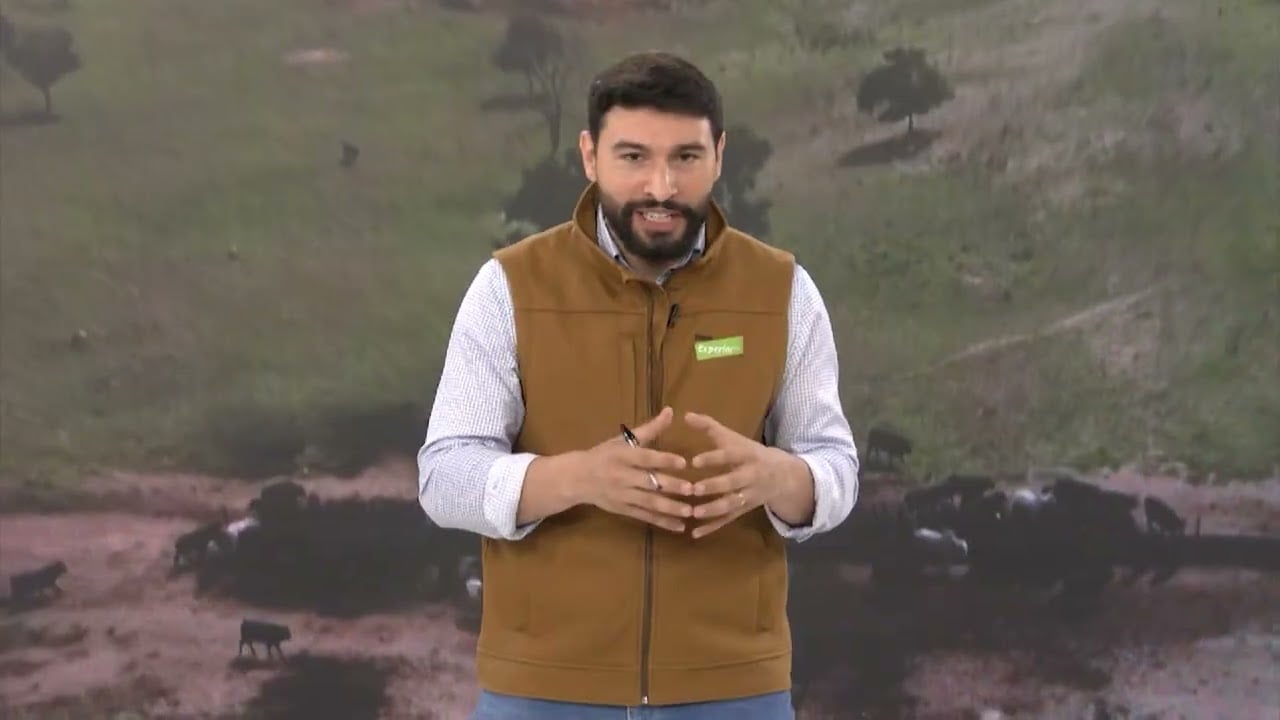 Recria na seca: como a suplementação estratégica acelera o ganho de peso e o abate