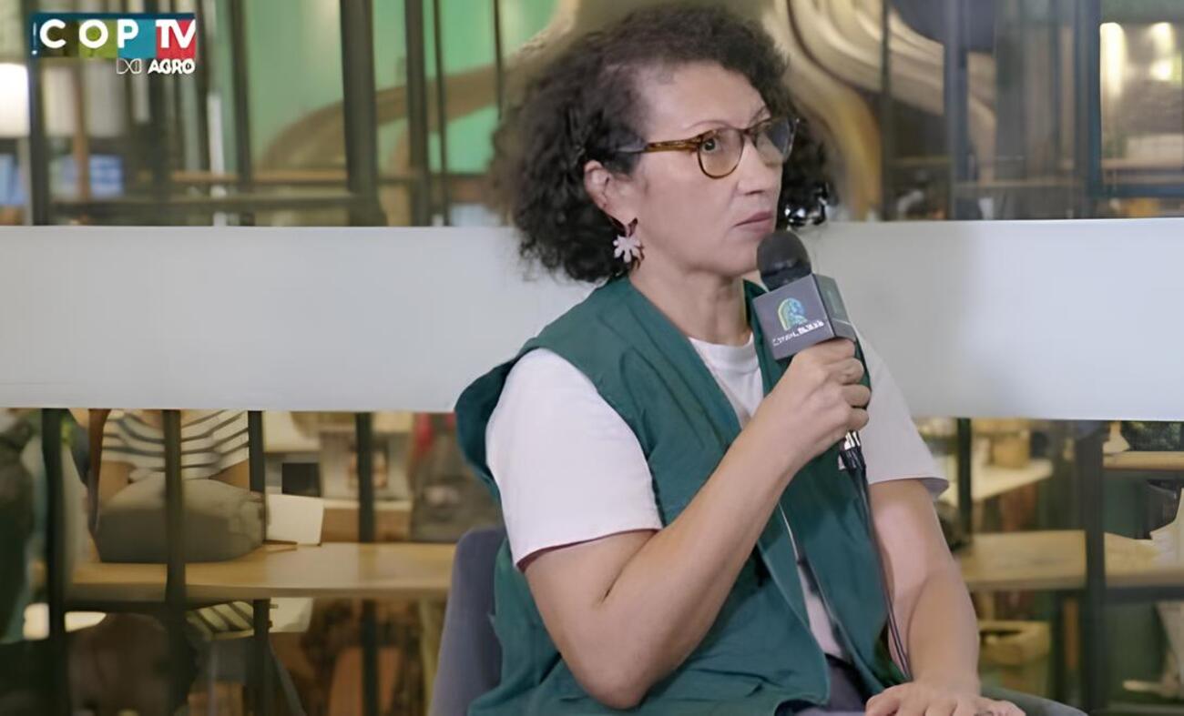 Destravar financiamento é decisivo para restauração de florestas, diz pesquisadora da Embrapa