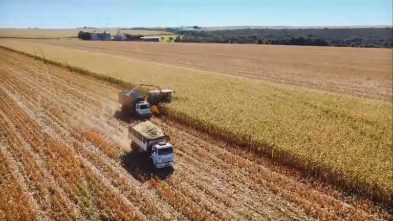 Foto: Reprodução Giro do Boi.