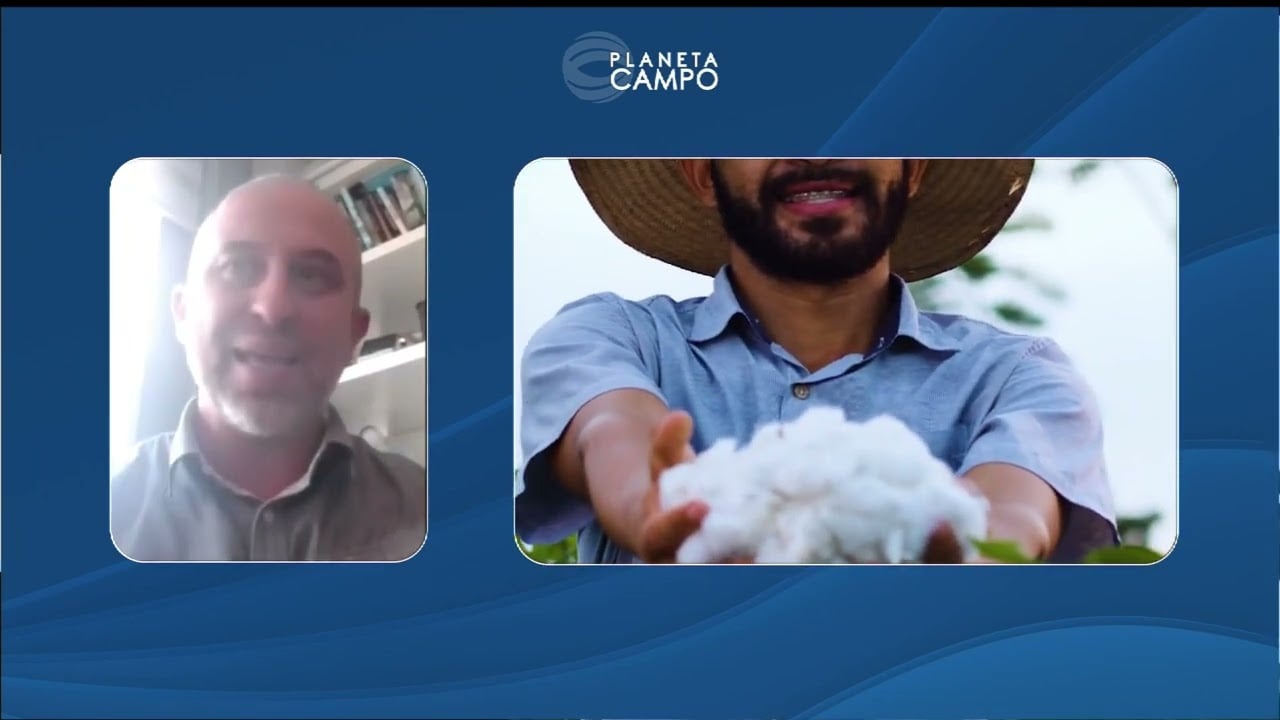 Marca apresentará projeto inédito de cultivo de algodão agroflorestal brasileiro na COP30