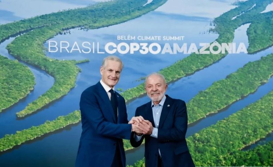 Fundo para florestas tropicais atinge aporte de US$ 5,5 bilhões