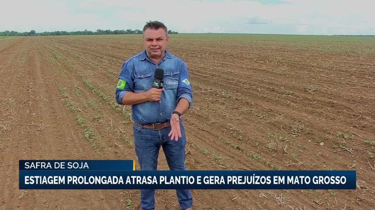 ‘Em ano de clima irregular, safra de soja está no limite e não há espaço para erro’, diz sojicultor de MT