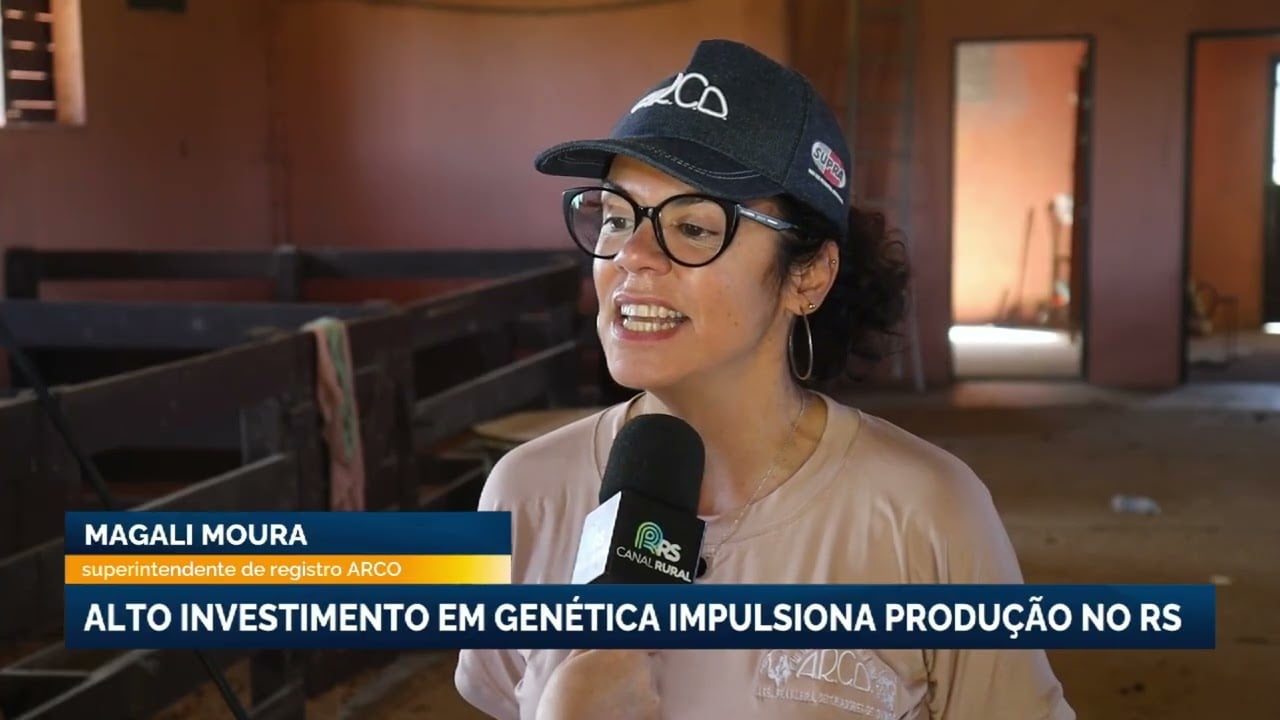 Genética acelera retomada da ovinocultura e reposiciona o RS no cenário nacional