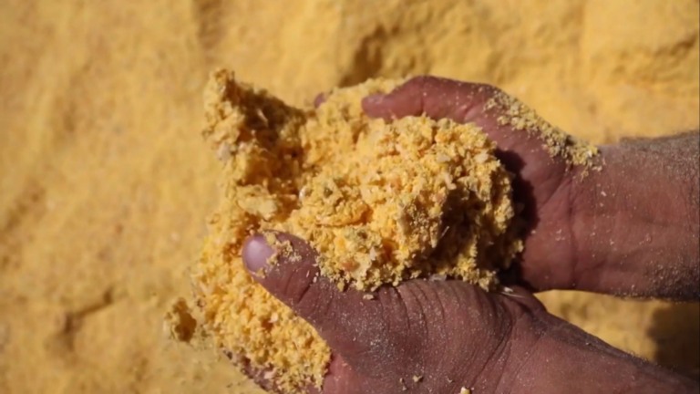 Foto: Reprodução/Giro do Boi.