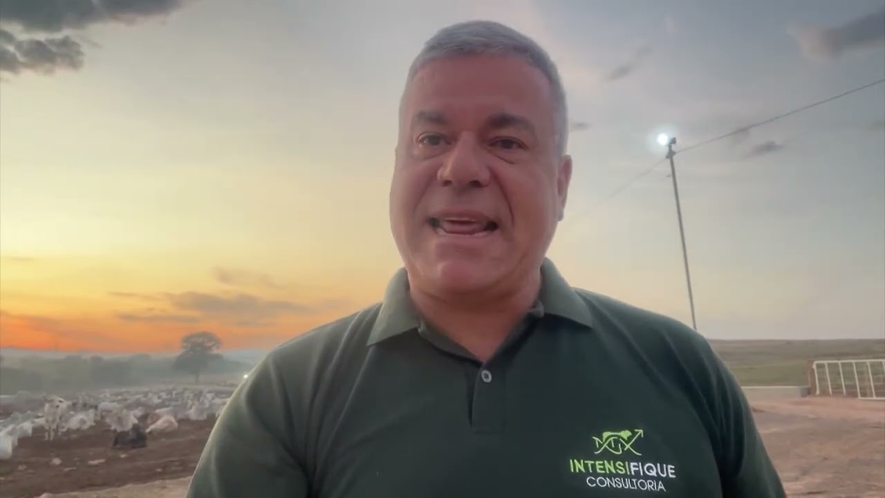 Entenda as diferenças entre pastejo rotacionado e ultradenso