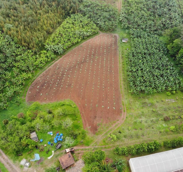 Propriedade rural na capital paulista