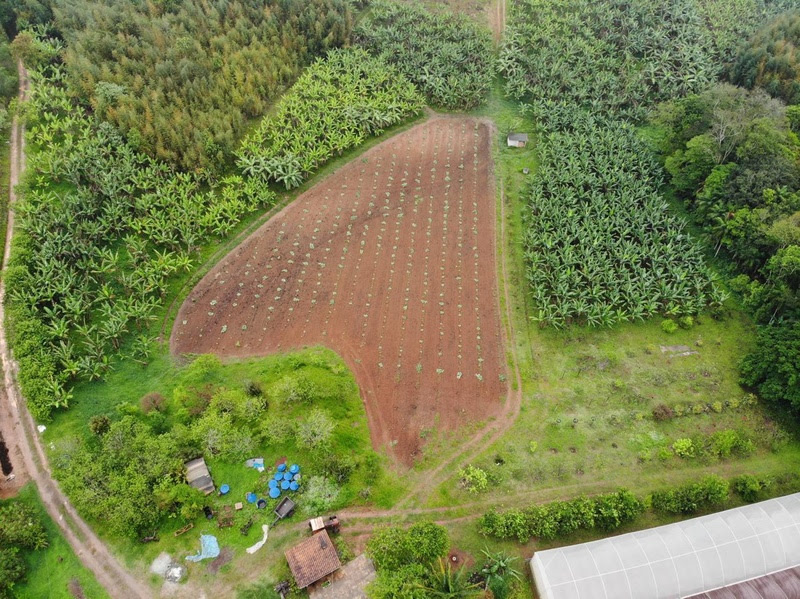 Propriedade rural na capital paulista