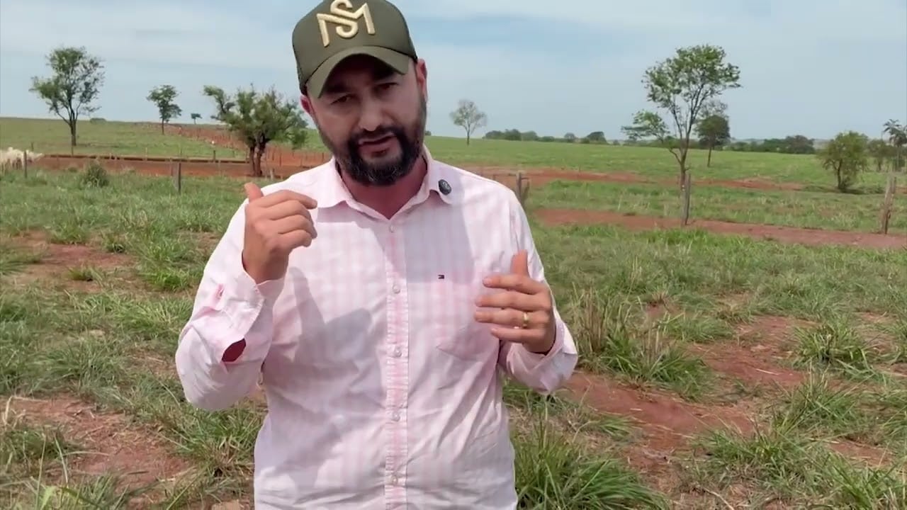 Manejo correto do pasto no período chuvoso garante produtividade na fazenda
