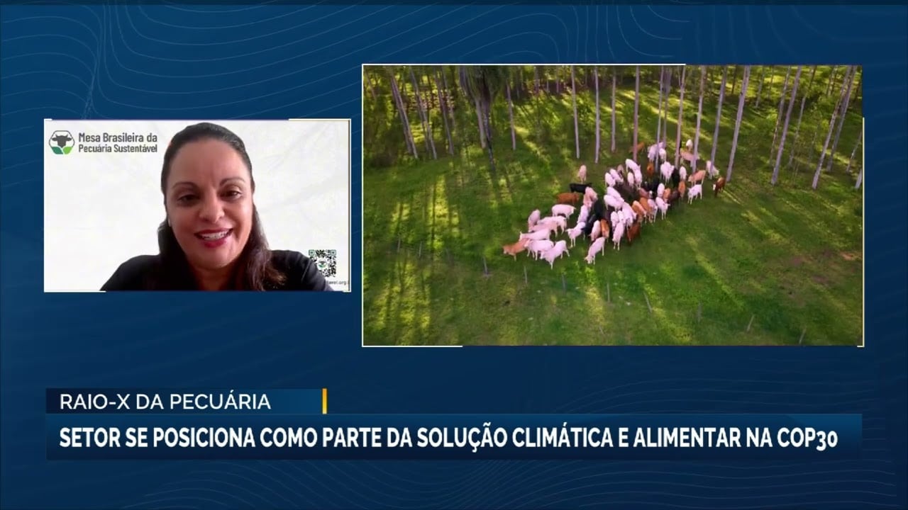 Pecuária se posiciona como parte da solução climática e alimentar na COP30