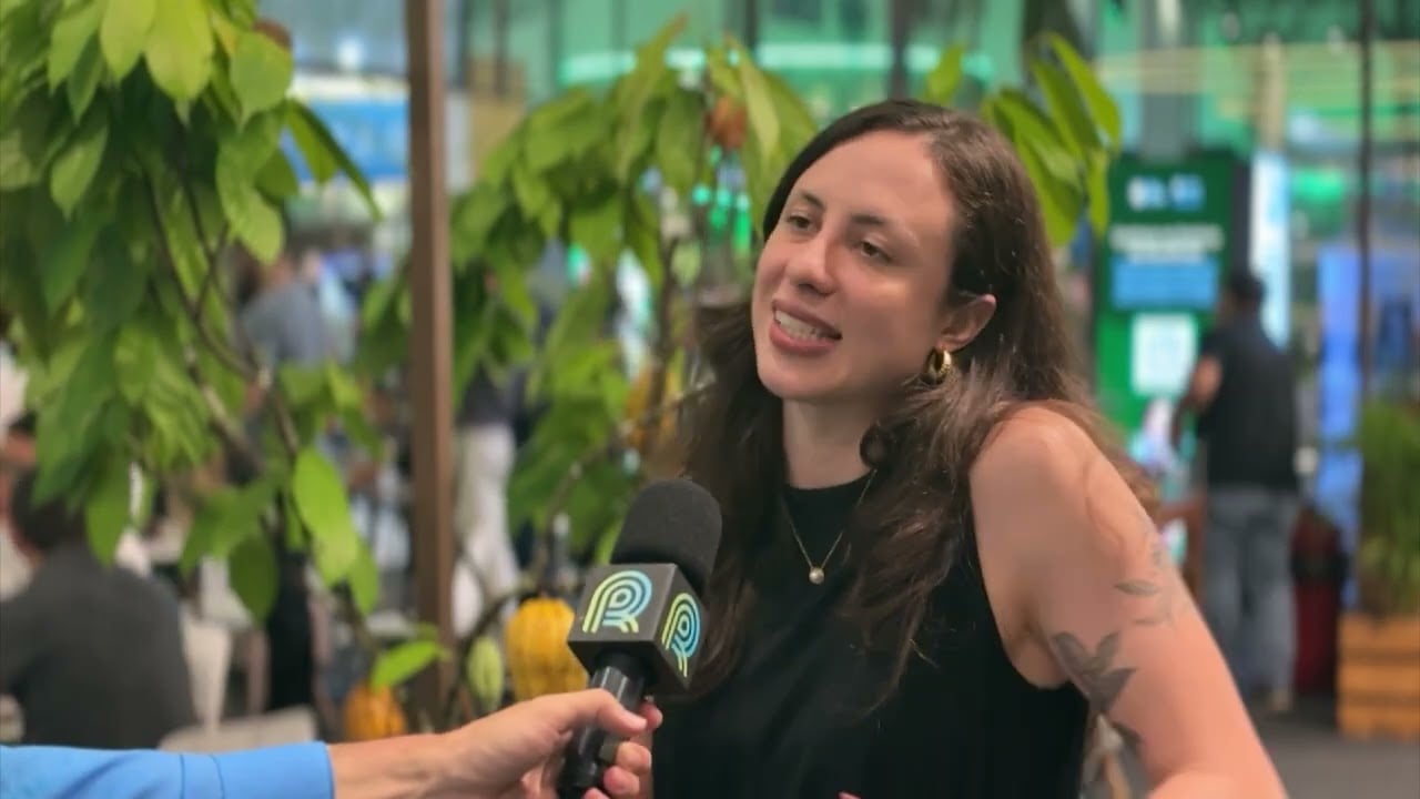 Pecuária brasileira: redução de emissões pode chegar a 92% até 2050, aponta FGV