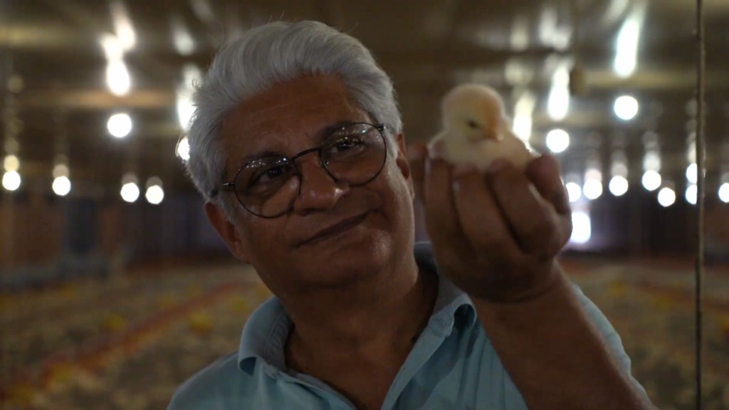 Avicultura como recomeço: família investe no campo e colhe segurança, renda e qualidade de vida Avicultura como recomeço: família investe no campo e colhe segurança, renda e qualidade de vida