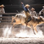 De ‘Tremembé’ para os rodeios: Felipe Simas vive em filme locutor que revolucionou festas de peão no Brasil