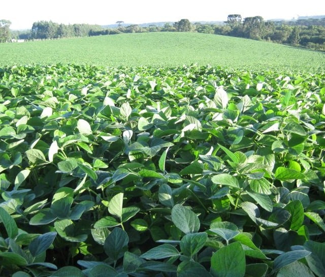 Foto: Divulgação / Sape

