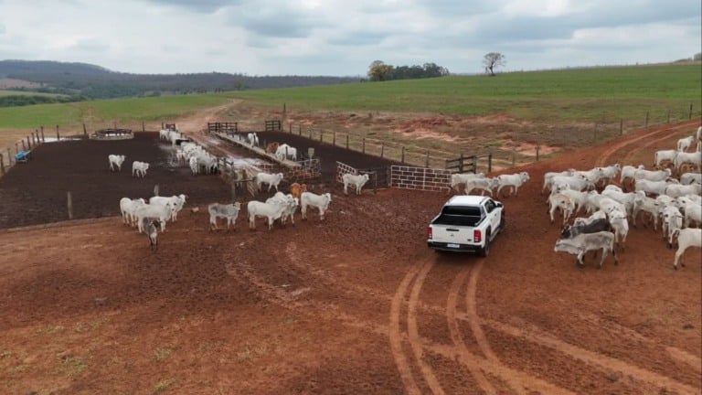 Foto: Reprodução/Giro do Boi.