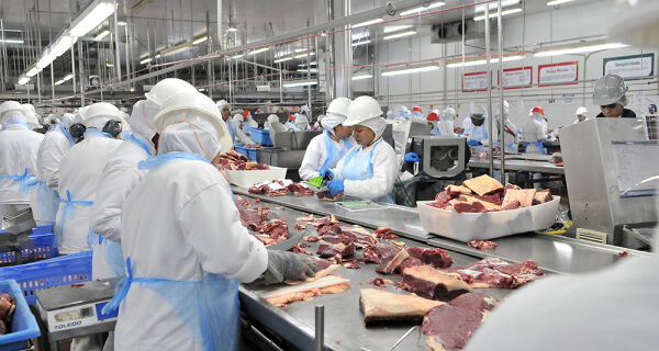 Indústria; bovinos; emprego