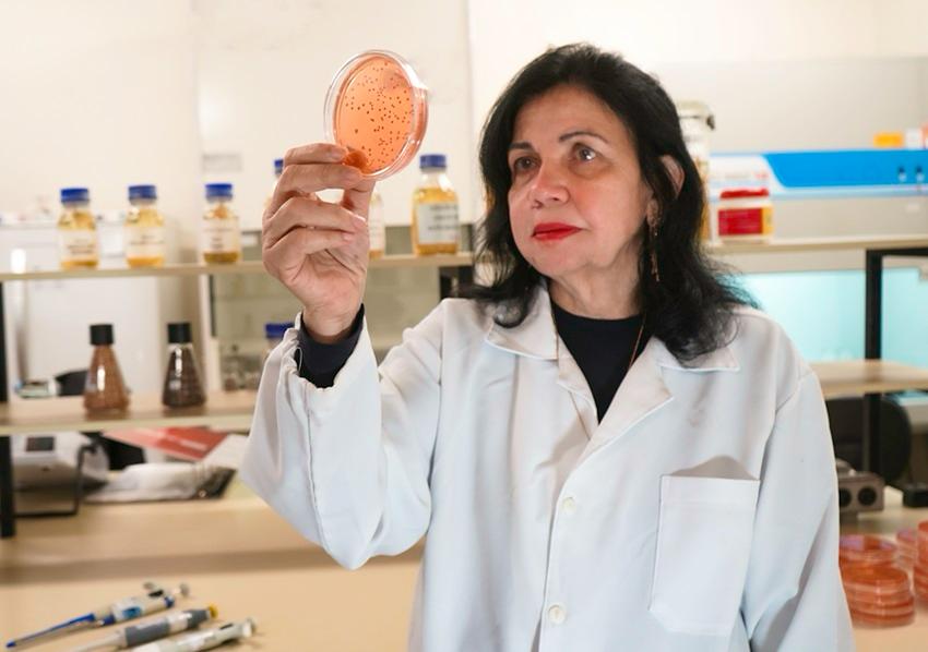 Mariangela Hungria: a cientista que revolucionou os biológicos no Brasil e levou o ‘Nobel da Agricultura’