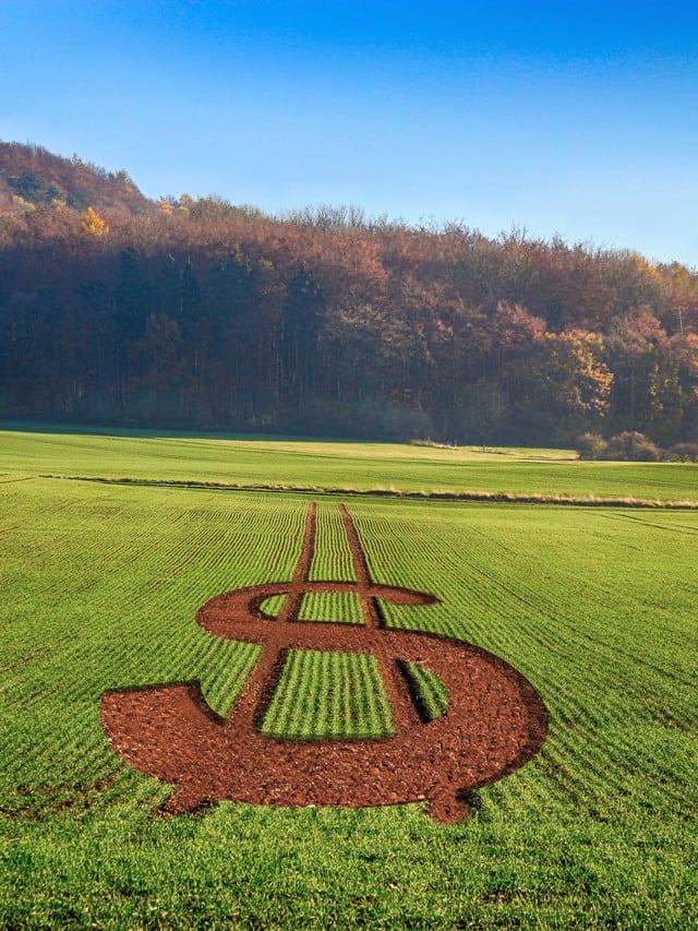 P8IfFWBr-imagem-cifrao-dinheiro-preço