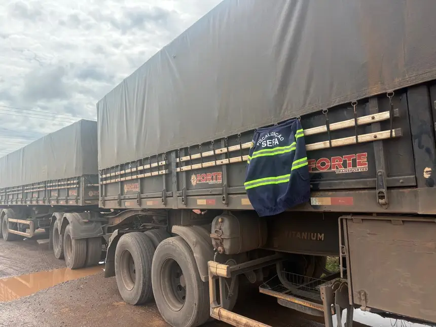 Fiscalização apreende 235 toneladas de soja avaliadas em mais de R$ 378 mil