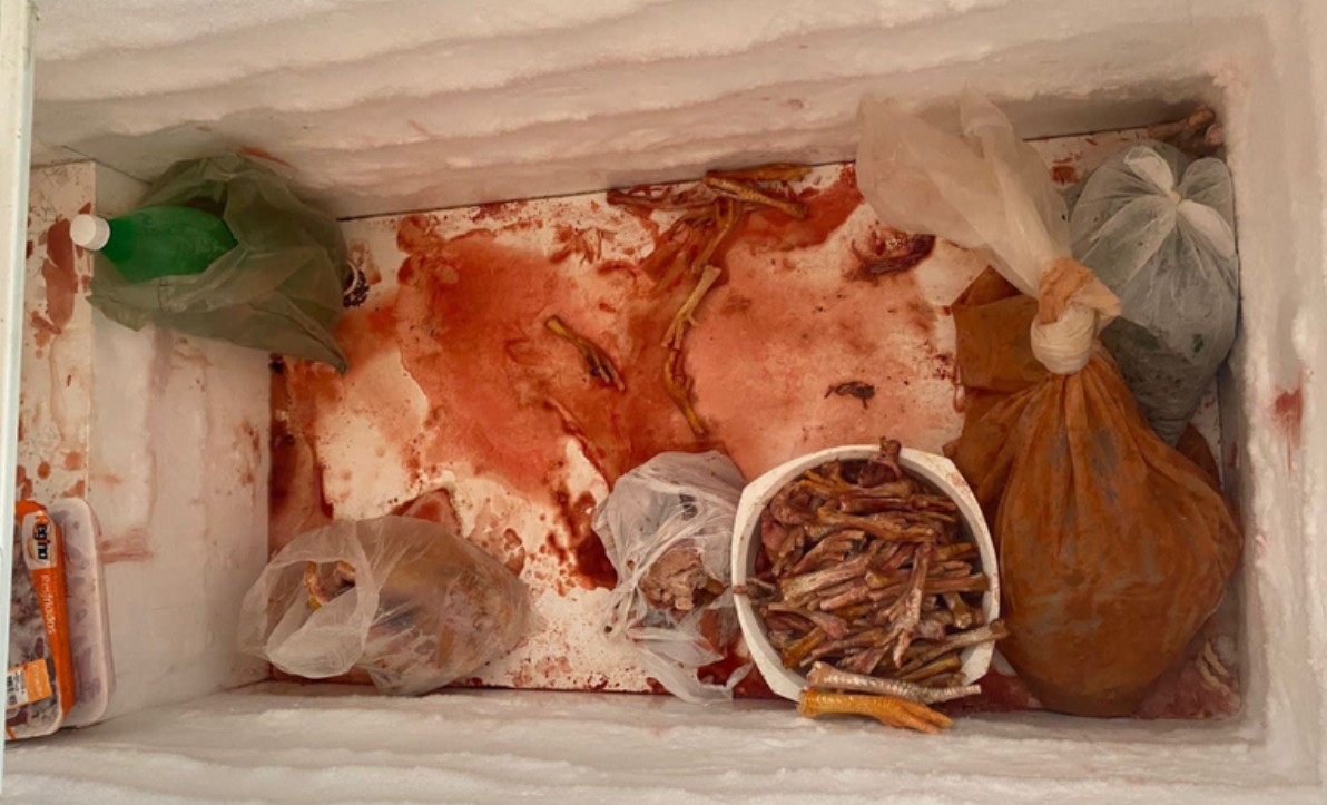 Três toneladas de carne de galinha-d’angola são apreendidas em abatedouro clandestino