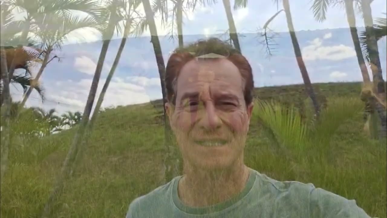 Pecuária: vale a pena substituir o bonsmara no tricross? Especialista responde