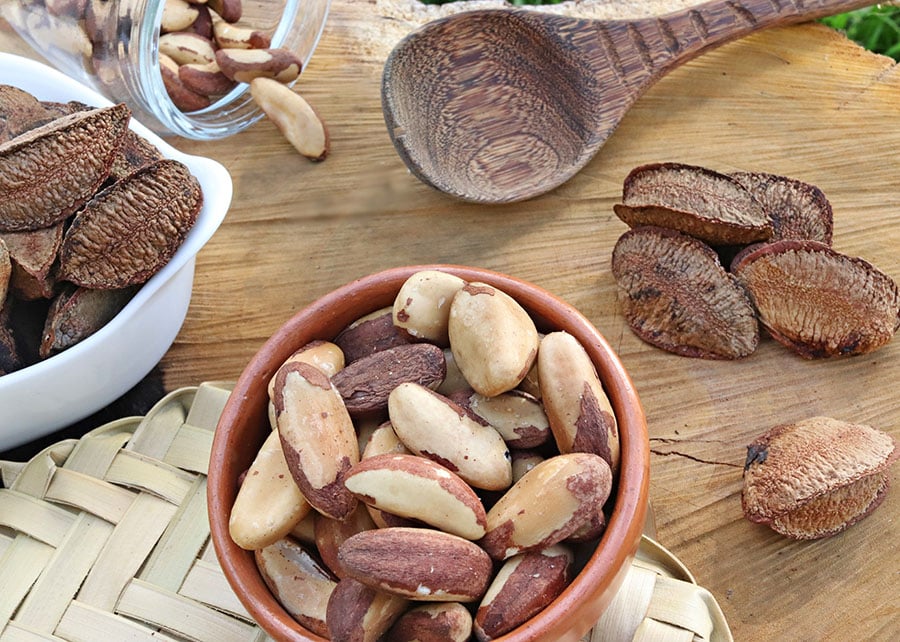 castanha-do-brasil castanha-do-brasil