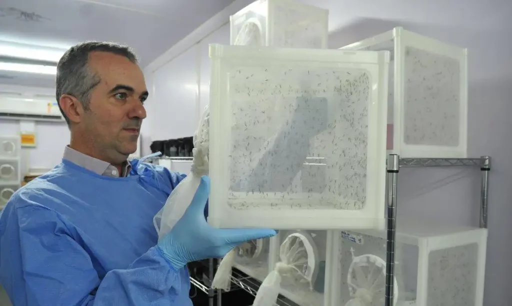 dengue; pesquisador Luciano Moreira dengue; pesquisador Luciano Moreira