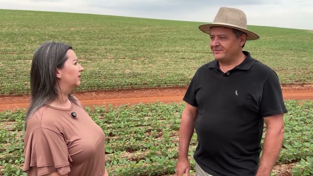 Estiagem prolongada compromete milho e soja no RS após mais de 20 dias sem chuva