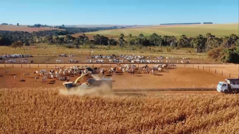 Foto: Reprodução/Giro do Boi.
