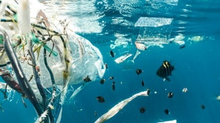 Quase 50% dos ambientes aquáticos está contaminado por lixo, diz pesquisa