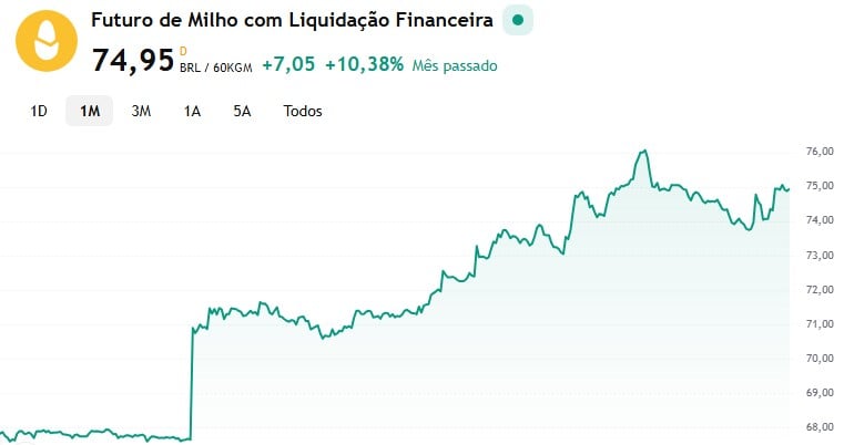 preços futuros do milho - plataforma Cotações Canal Rural