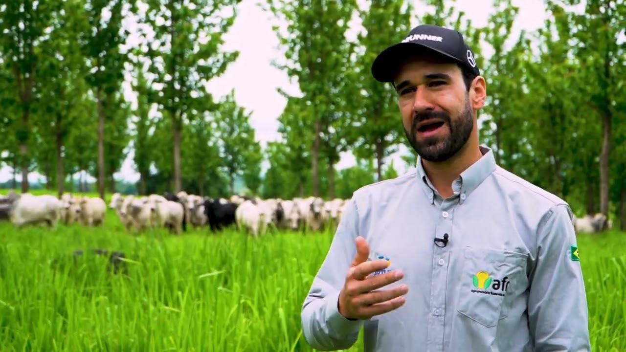 Busca por eficiência na pecuária leva produtores a repensarem o manejo de pastagens