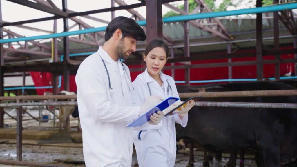 Foto: Reprodução/Giro do Boi.