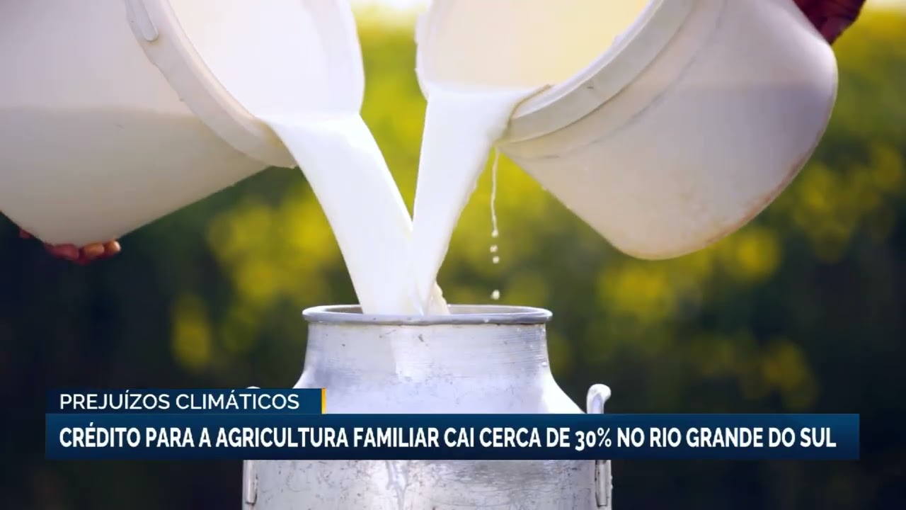 Crédito destinado à agricultura familiar registra queda de 30% no RS