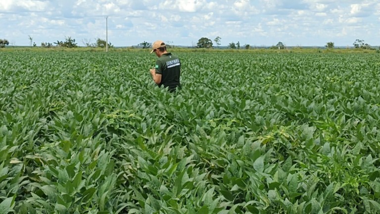 Foto: Agrodefesa