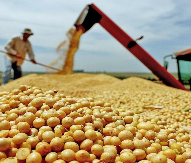 Foto: Seagro/Governo Tocantins