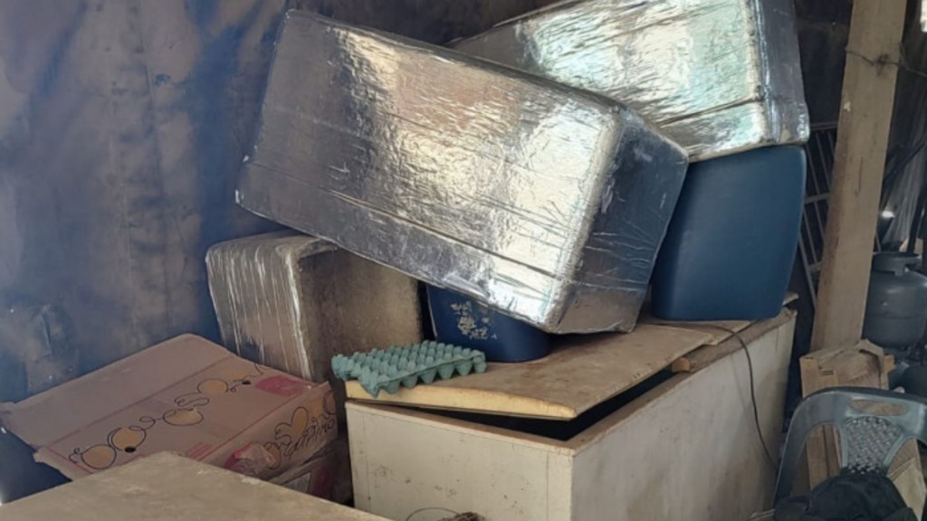 Foto: Divulgação/Defesa Agropecuária de São Paulo.