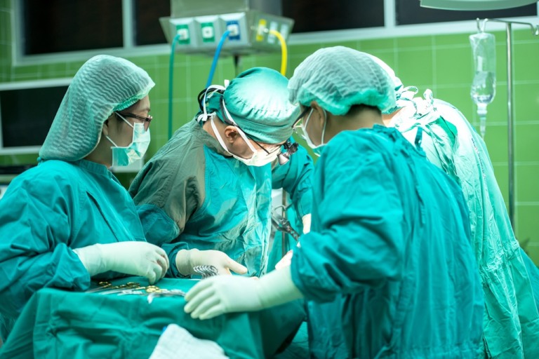 Rim; porco; cirurgia