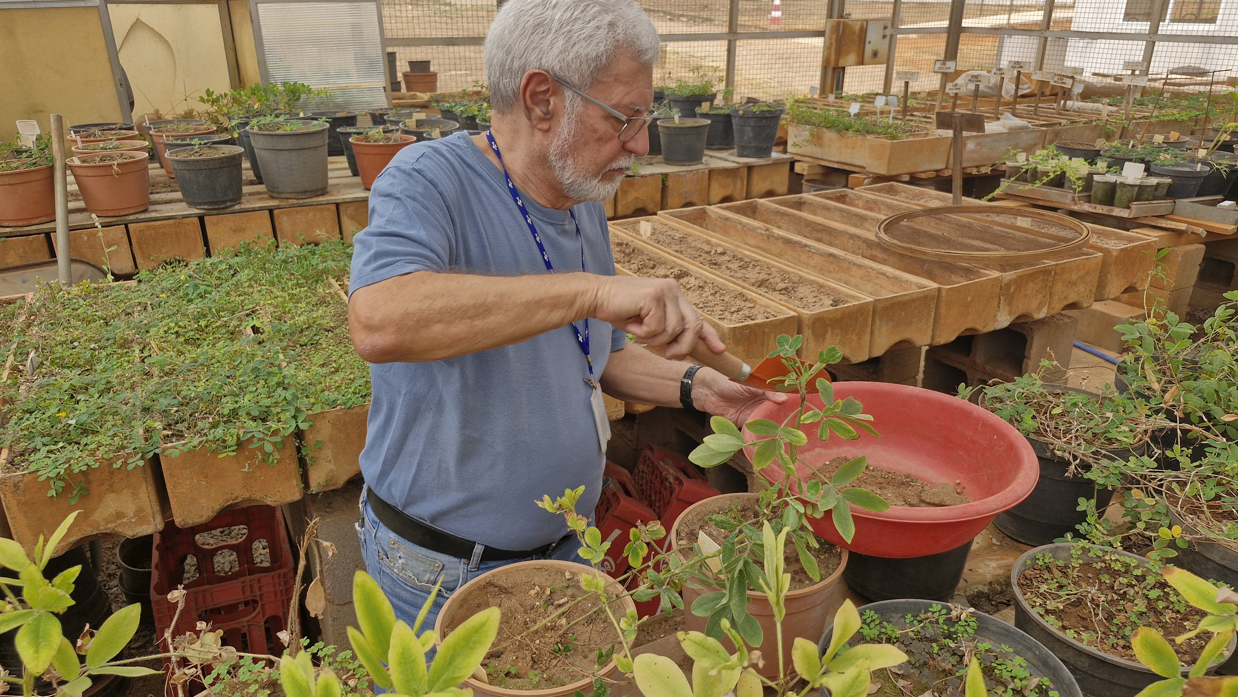 José Valls, pesquisador da Embrapa