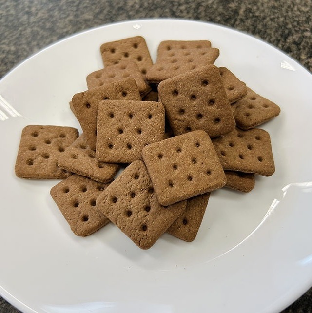 biscoito feito ocm farinha de inseto
