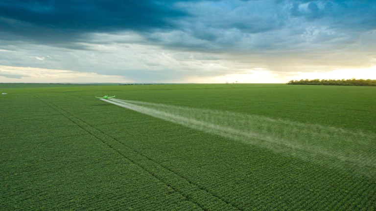 Plantação de milho em Luís Eduardo Magalhães, no Oeste da Bahia (Foto: Divulgação/Inpasa Brasil).
