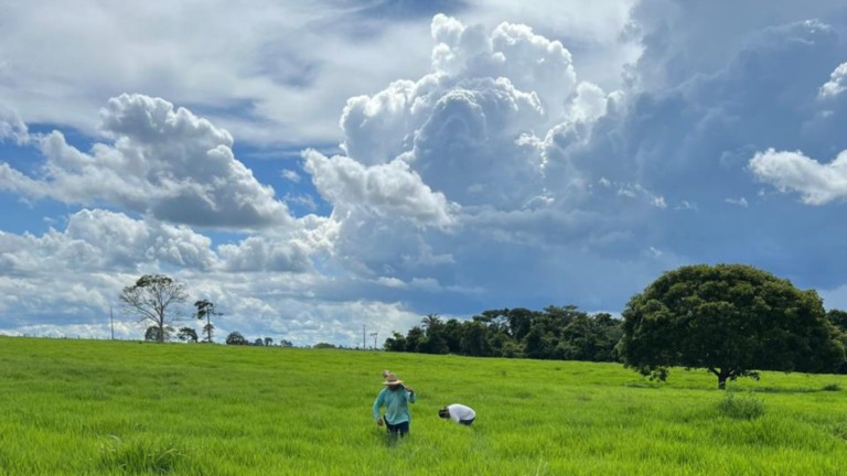 Foto: Divulgação.